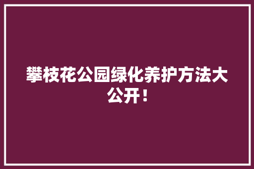 攀枝花公园绿化养护方法大公开！