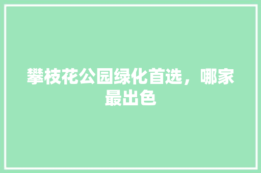 攀枝花公园绿化首选，哪家最出色