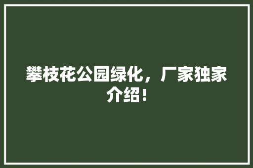 攀枝花公园绿化，厂家独家介绍！