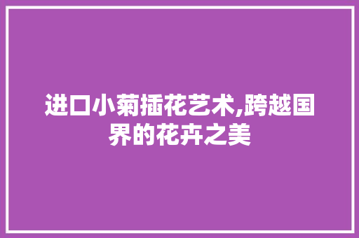 进口小菊插花艺术,跨越国界的花卉之美