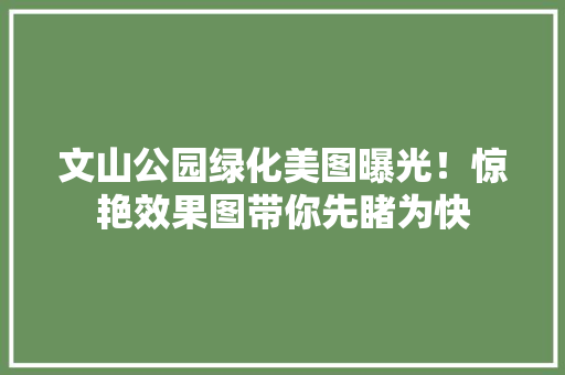 文山公园绿化美图曝光！惊艳效果图带你先睹为快