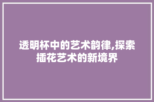 透明杯中的艺术韵律,探索插花艺术的新境界