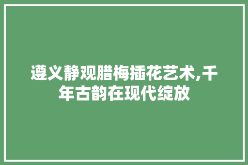 遵义静观腊梅插花艺术,千年古韵在现代绽放