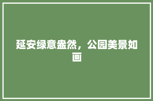 延安绿意盎然，公园美景如画