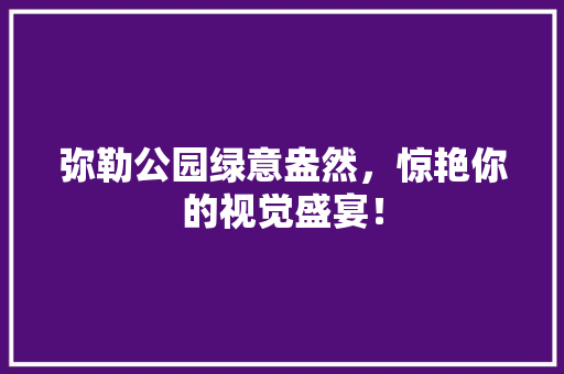 弥勒公园绿意盎然，惊艳你的视觉盛宴！