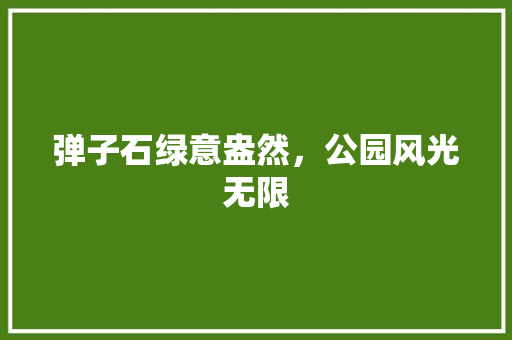 弹子石绿意盎然，公园风光无限