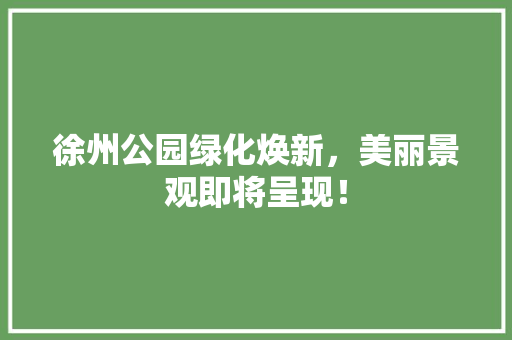 徐州公园绿化焕新，美丽景观即将呈现！