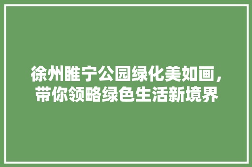 徐州睢宁公园绿化美如画，带你领略绿色生活新境界