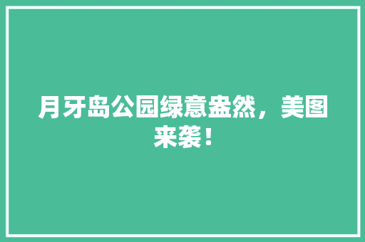 月牙岛公园绿意盎然，美图来袭！