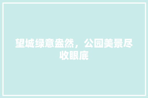 望城绿意盎然，公园美景尽收眼底