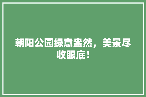 朝阳公园绿意盎然，美景尽收眼底！