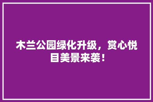木兰公园绿化升级，赏心悦目美景来袭！