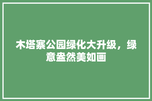 木塔寨公园绿化大升级，绿意盎然美如画