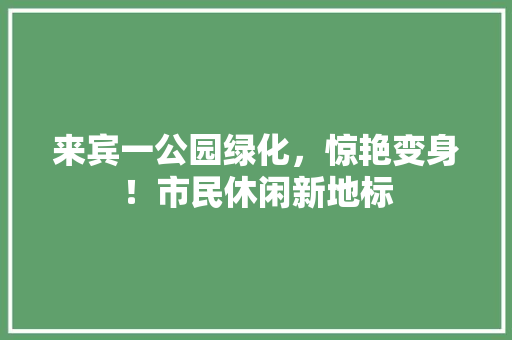 来宾一公园绿化，惊艳变身！市民休闲新地标