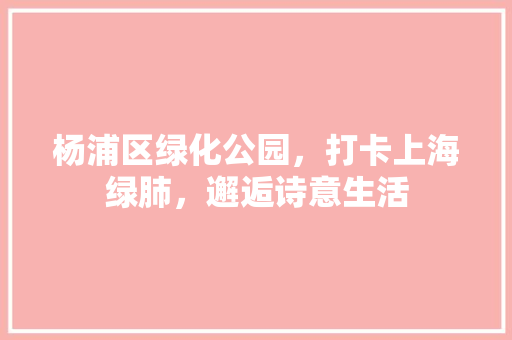 杨浦区绿化公园，打卡上海绿肺，邂逅诗意生活