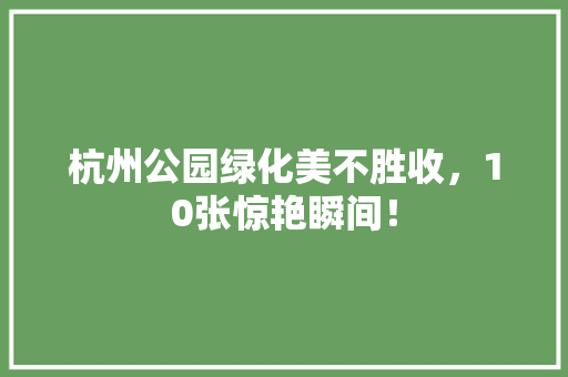 杭州公园绿化美不胜收，10张惊艳瞬间！