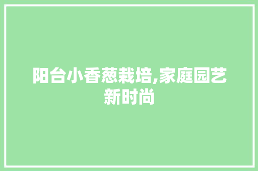 阳台小香葱栽培,家庭园艺新时尚