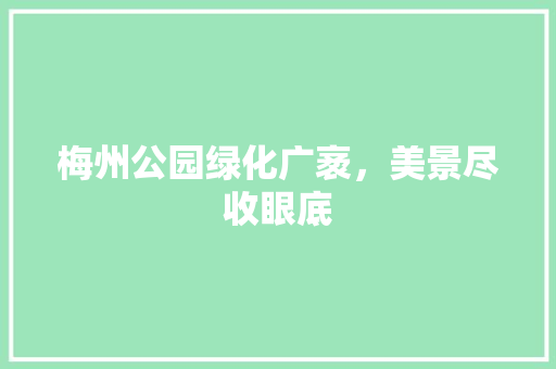 梅州公园绿化广袤，美景尽收眼底