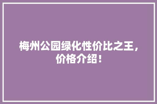 梅州公园绿化性价比之王，价格介绍！