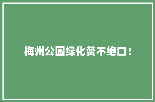 梅州公园绿化赞不绝口！