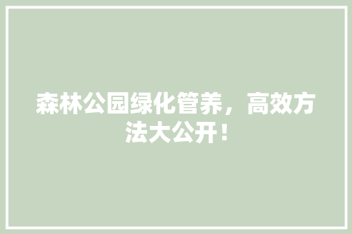森林公园绿化管养，高效方法大公开！