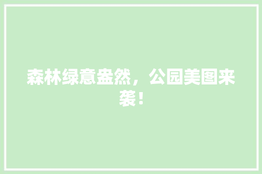 森林绿意盎然，公园美图来袭！