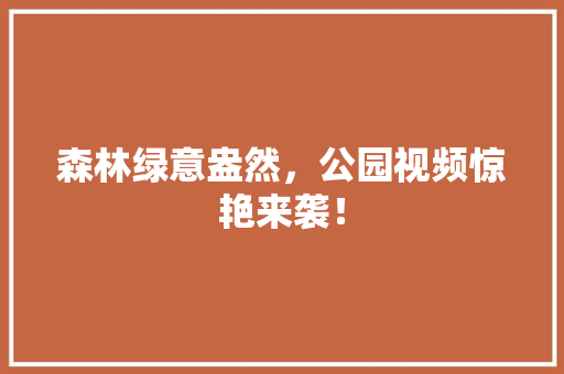 森林绿意盎然，公园视频惊艳来袭！
