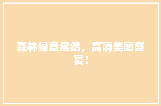 森林绿意盎然，高清美图盛宴！