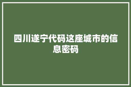 四川遂宁代码这座城市的信息密码