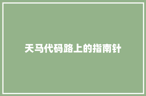 天马代码路上的指南针