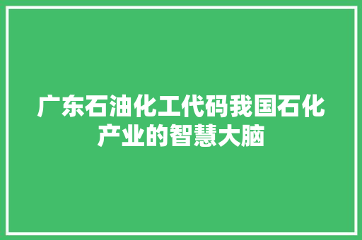 广东石油化工代码我国石化产业的智慧大脑
