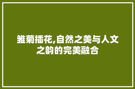 雏菊插花,自然之美与人文之韵的完美融合 无土育苗