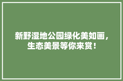 新野湿地公园绿化美如画，生态美景等你来赏！