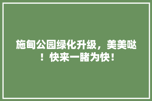 施甸公园绿化升级，美美哒！快来一睹为快！