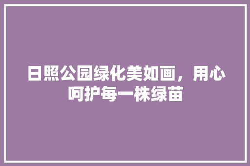 日照公园绿化美如画，用心呵护每一株绿苗