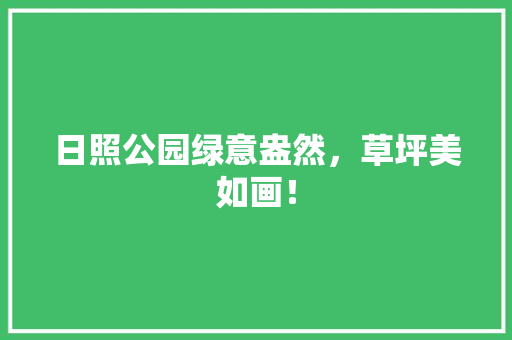 日照公园绿意盎然，草坪美如画！