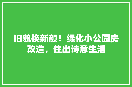旧貌换新颜！绿化小公园房改造，住出诗意生活