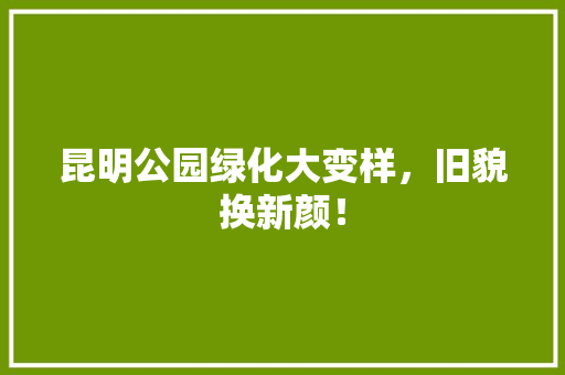 昆明公园绿化大变样，旧貌换新颜！