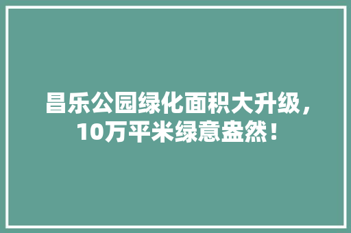 昌乐公园绿化面积大升级，10万平米绿意盎然！