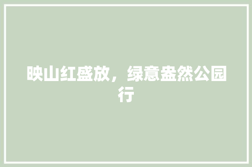 映山红盛放，绿意盎然公园行