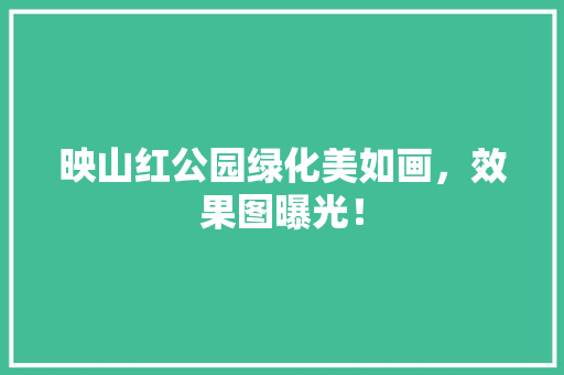 映山红公园绿化美如画，效果图曝光！