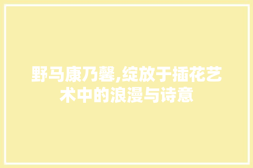 野马康乃馨,绽放于插花艺术中的浪漫与诗意