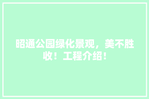 昭通公园绿化景观，美不胜收！工程介绍！