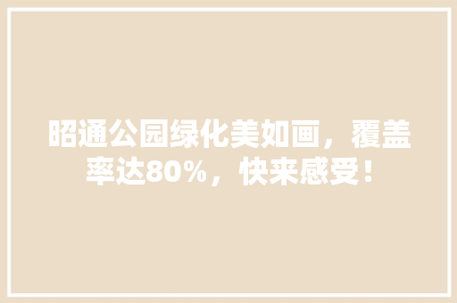 昭通公园绿化美如画，覆盖率达80%，快来感受！