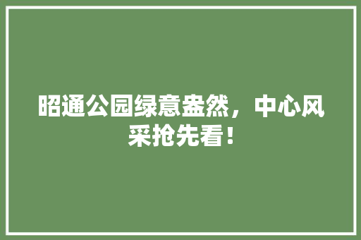 昭通公园绿意盎然，中心风采抢先看！