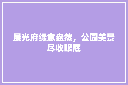 晨光府绿意盎然，公园美景尽收眼底