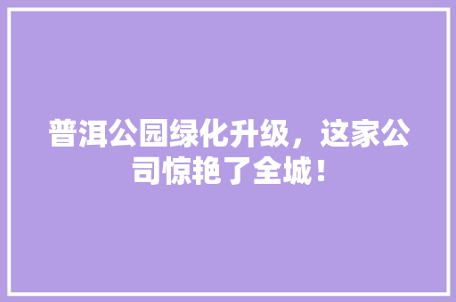 普洱公园绿化升级，这家公司惊艳了全城！