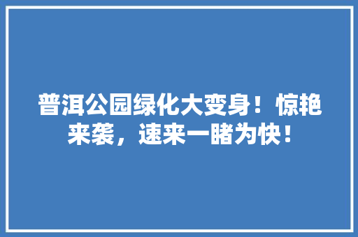 普洱公园绿化大变身！惊艳来袭，速来一睹为快！