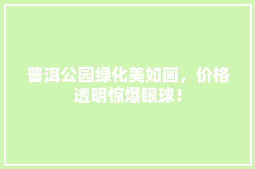 普洱公园绿化美如画，价格透明惊爆眼球！
