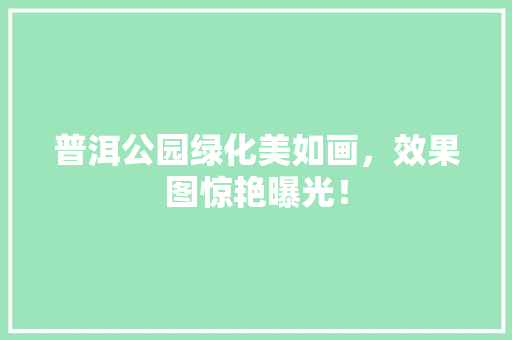 普洱公园绿化美如画，效果图惊艳曝光！